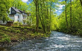 Wald Villa Üssbach